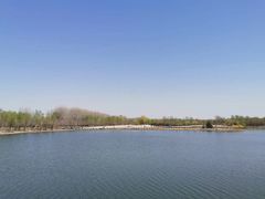 -东郊湿地公园