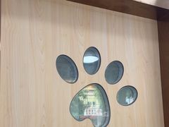 -宠颐生宠物医院外科·内科·皮肤科·影像科(石龙店)