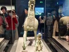 -广西壮族自治区博物馆