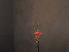 -觀芷隐轩