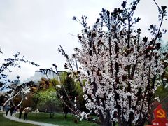 -宗角禄康公园