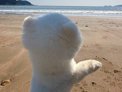 -东海半边山旅游度假区