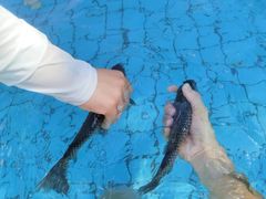 -清泉湾生态旅游度假区