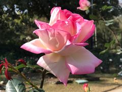 -人民公园(罗湖区)