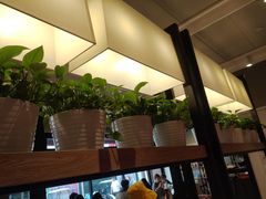 -肯德基(中州一店)