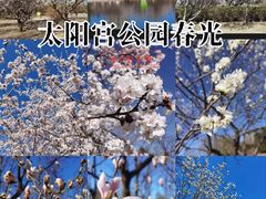 -太阳宫公园