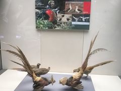 -天津自然博物馆