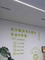 -凡碧诗毛孔清洁收细