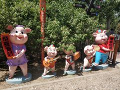 -北京麋鹿生态实验中心