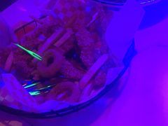 -薄荷花园音乐餐厅(邯郸店)
