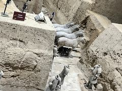 -秦始皇帝陵博物院(兵马俑)