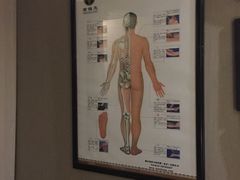 -莱蔻·圣灸堂·推拿艾灸(天山店)