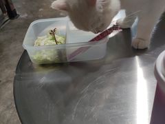 -浣熊柯尔鸭土拨鼠·电玩咖