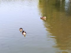 -海珠湖公园
