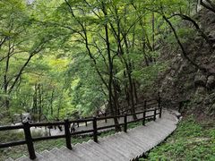 -秦岭天竺山生态文化旅游景区