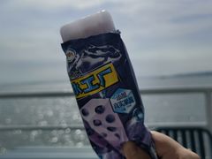 -秦皇岛公主号游船