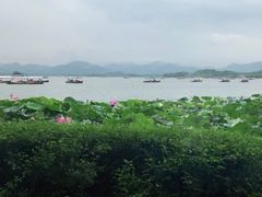 -湖畔居茶楼(湖滨店)
