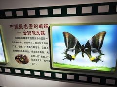 -上海昆虫博物馆