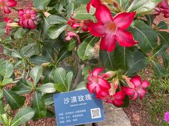 -北京植物园-展览温室