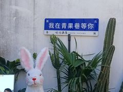 -青果巷历史文化街区