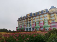 -百万葵园