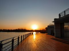 -大兴滨河森林公园