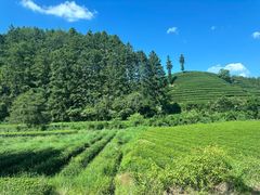 -武夷山风景名胜区-虎啸岩