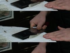 -成发鱼生