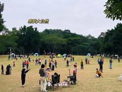 -荔枝公园-小平画像广场
