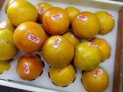 -叁宫礼水果批发仓储店(梅江店)