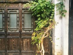 -巡塘古镇