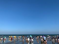 -东海岛旅游度假区