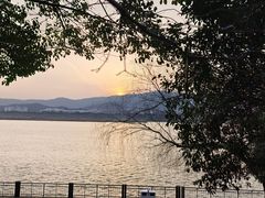 -橘洲1910花园江景西餐厅