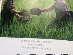 -喜湘宴·精致湖南菜(和平西桥店)