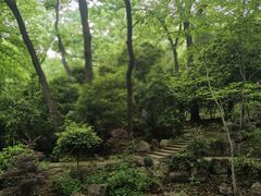 -灵谷景区