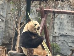 -五龙山野生动物王国