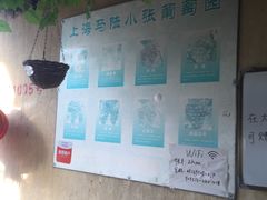 -马陆小张葡萄园农家乐