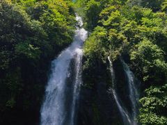 -龙苍沟森林公园