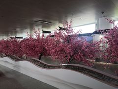 -杭州萧山国际机场