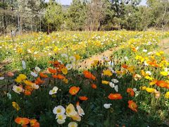 -名花谷生态庄园