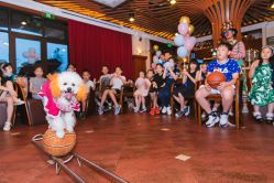 -派对猴生日派对策划