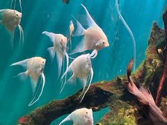 -海合安武汉极地海洋公园