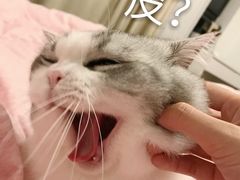 -萨莉亚意式餐厅(特力时尚汇店)