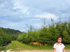 -五营红松林海景区