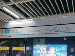 -石厦(地铁站)