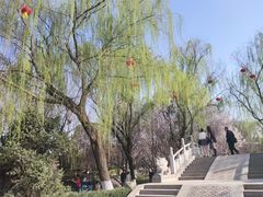-西安青龙寺遗址景区
