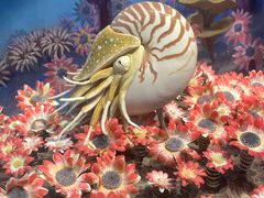 -国家自然博物馆