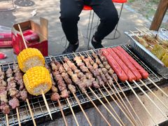 -尚庄度假村·庭台树下·户外烧烤·团建CS·轰趴营地(上庄水库店)