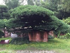 -水绘园