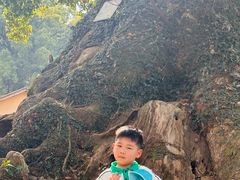 -杨家堂村